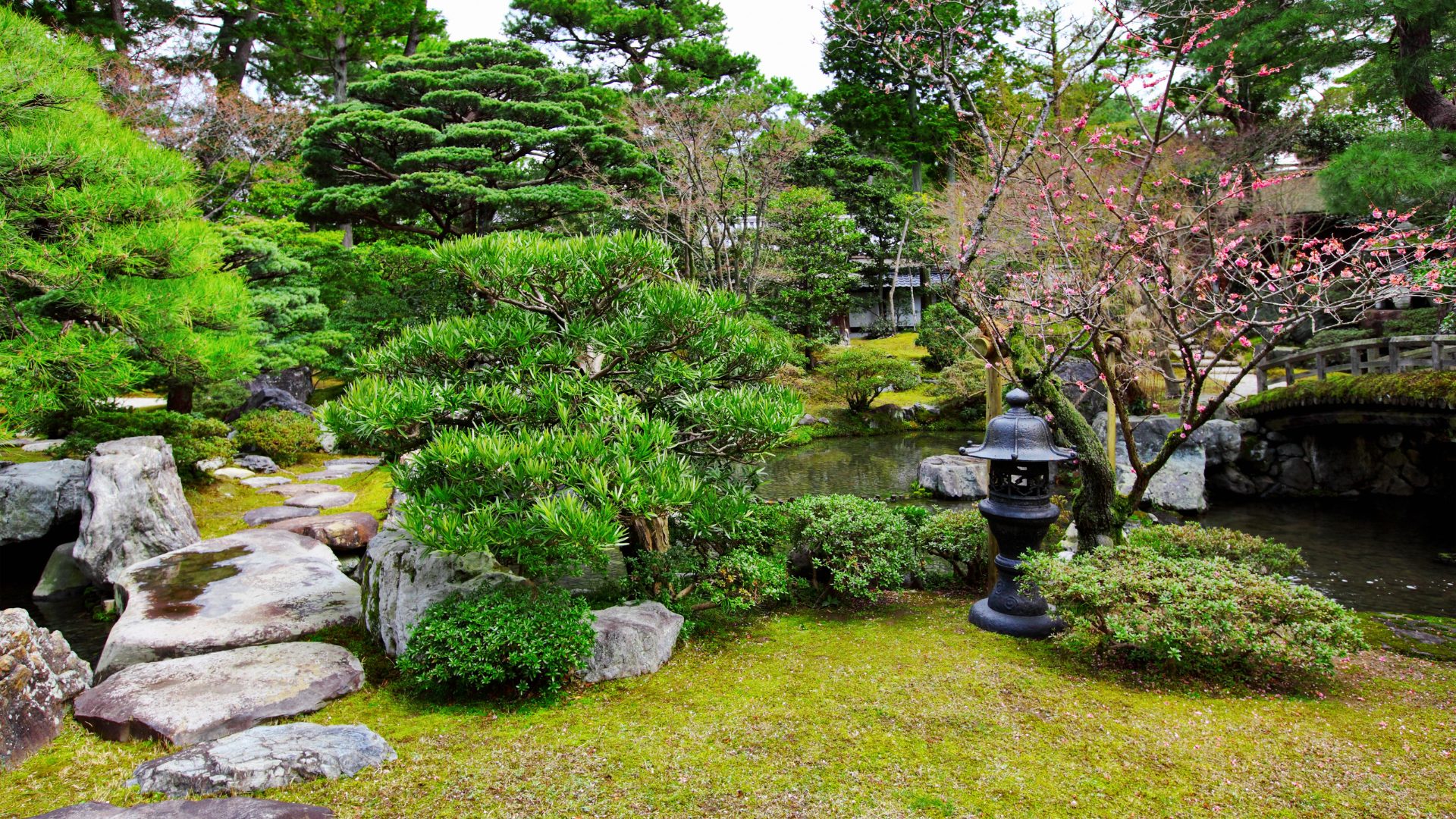 横浜の美しい日本庭園 - GARDENs施工事例