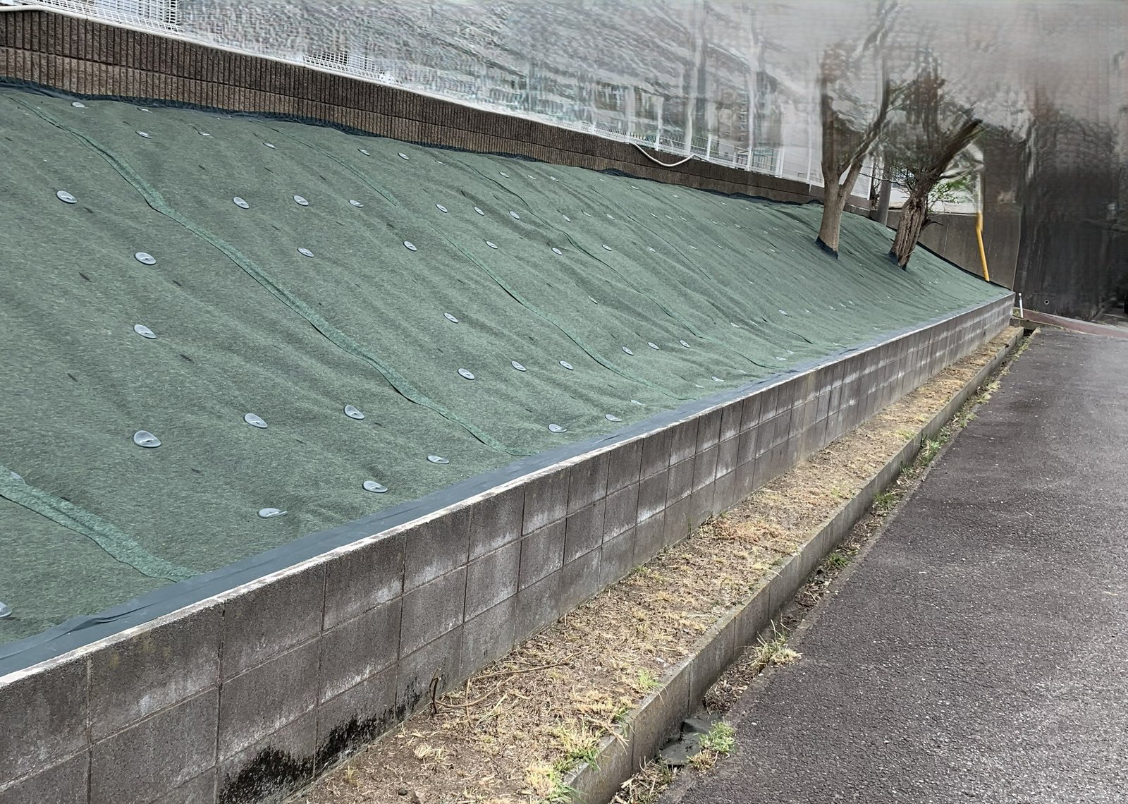 防草シート設置の施工実績｜施工