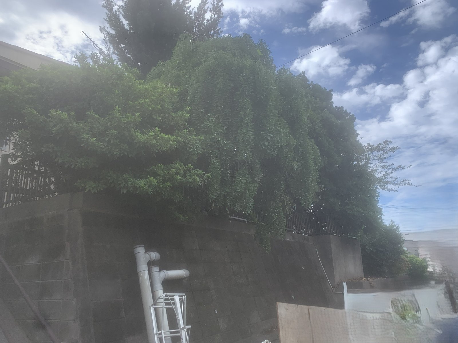 お庭じまいの施工実績｜BEFORE
